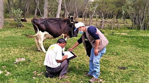 Área de sanidad agrícola y pecuaria