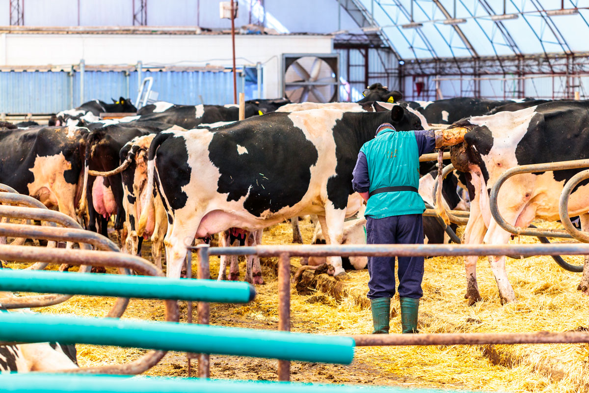 Área de reproducción e inseminación artificial