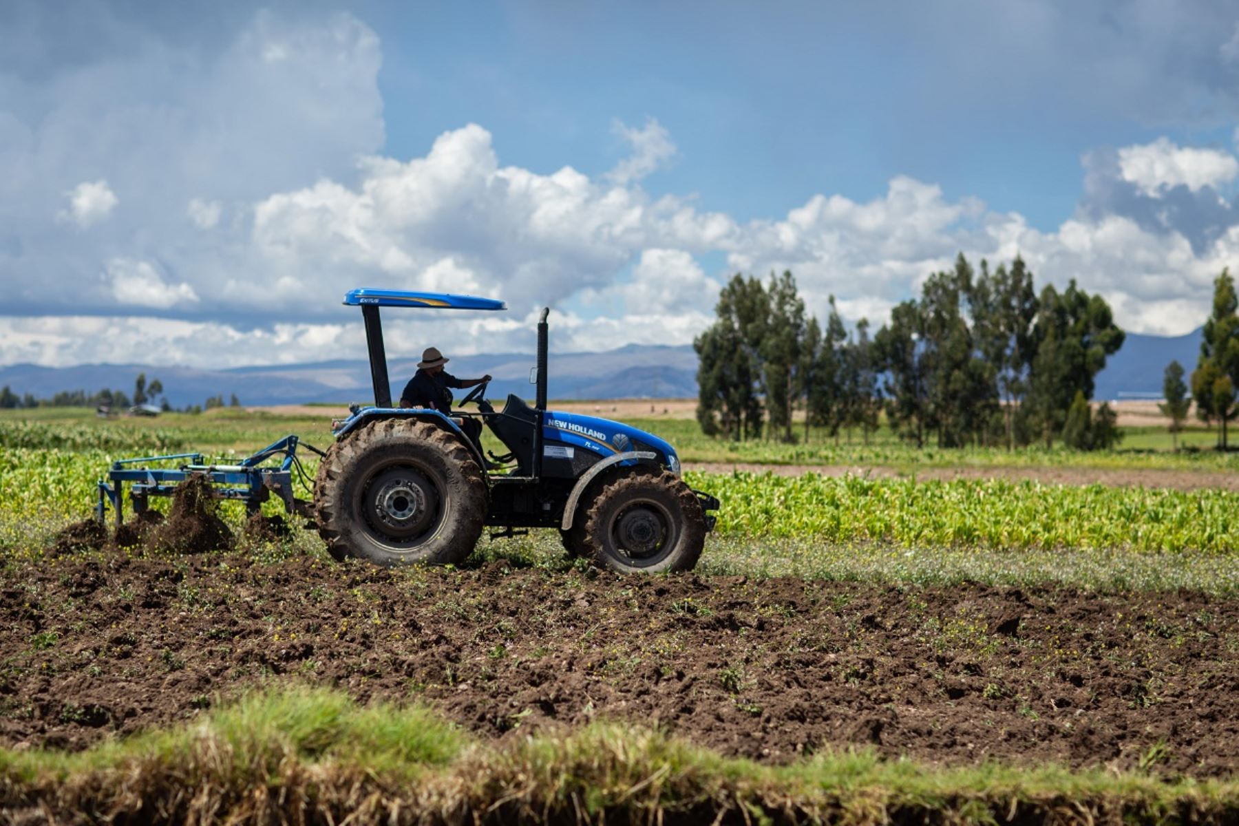 1991: Inicio Académico